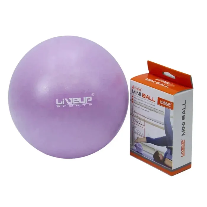 Exercise Mini Ball - PVC Anti-Burst 20CM Purple